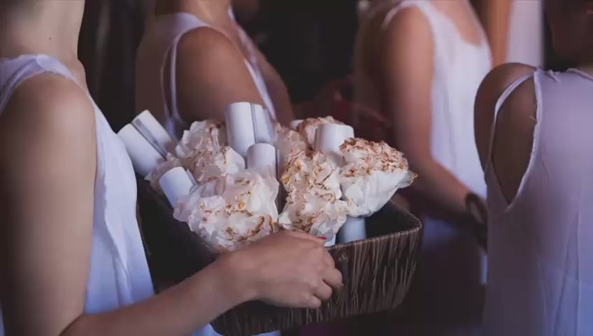 Charger la vidéo : 